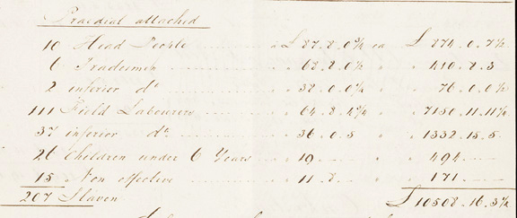 Compensatie-Cornelia-Ida-2