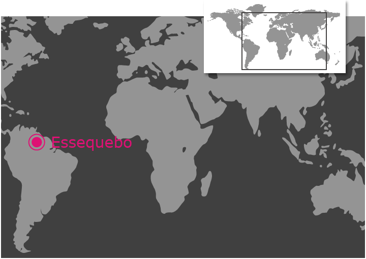 Essequebo
