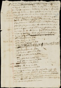 Het witte goud van Haarlem